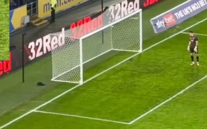 تكرار الاقتحام سنجاب يوقف مباراة هال سيتي وبريستول مرتين